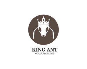 Ant Logo template vector illustration