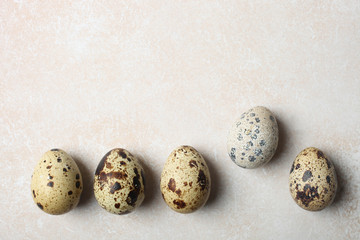 Obraz premium Many natural quail eggs