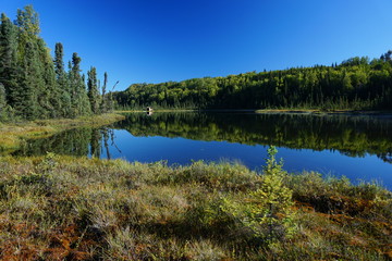 Beautiful wild landscape in  Alaska reflecting in calm lake
