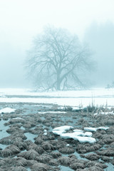 Winter in Yosemite National Park