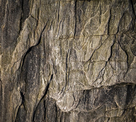 rock texture