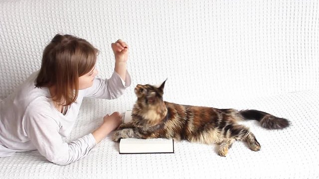 Beautiful young woman with bob haircut is lying on the couch and playing with Maine Coon cat and feeding it treats on  white background. Cat is eating from her hand. living with cat concept