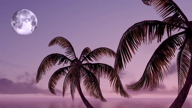 Tropical palm trees on the background of the sea and sky