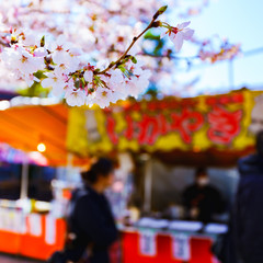 Spring Festival in Tokyo Japan (No.8972c)
