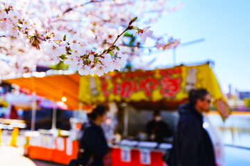 Naklejka premium Spring Festival in Tokyo Japan (No.8972)