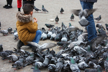 Small children on a winter day playing in a square in a European city. They enjoy chasing pigeons...