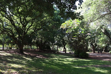 Fototapeta na wymiar Ibirapuera's Park - 146