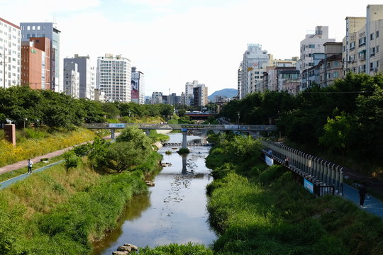서울 은평구 불광천 