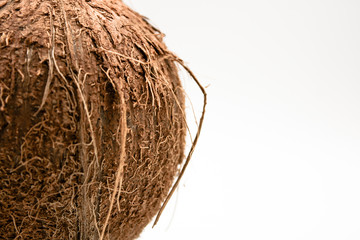 Cocco.