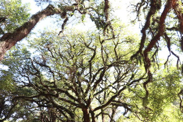 Ibirapuera's Park - 120