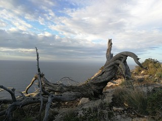 Fototapeta premium Vistas del mar y el cielo desde una colina en Mallorca