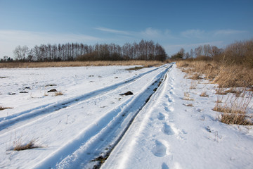 Fototapeta na wymiar Wheel tracks on a snowy rural road. Trees growing in a row and sky