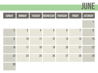 Calendar planner 2019. Monthly planner. June.