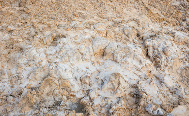 Salty soil
