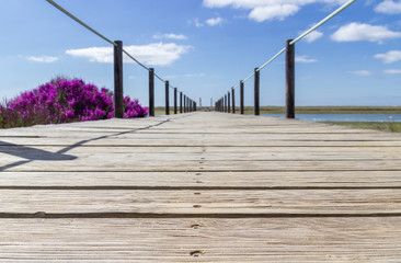 Fototapeta premium Views near Tavira in Algarve (Portugal)