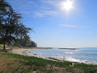 Soft focus of the waves beat at the beach with sand, pine trees and blue sky with shiny sun in summer morning. Nature background concept.