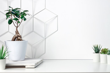 White desk at an empty wall with a geometric pattern. Place for text. Copy space. Green succulents,...