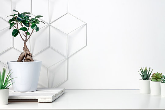 White desk at an empty wall with a geometric pattern. Place for text. Copy space. Green succulents, bonsai, wooden stand. Minimalist composition