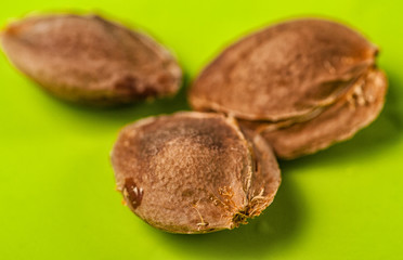apricots bones close-up on a green background macro