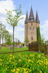 Husaby Church and flowering cowslip flower