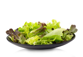 Fresh vegetable salad , healthy food.