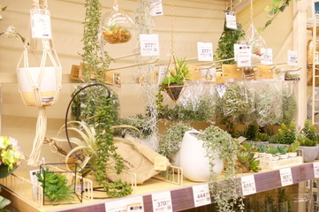 Artificial flower decoration interior