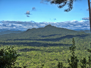 View from above on Cockscob Basin wildlife sanctuary Belize