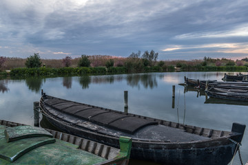 Fishing boats in the harbor