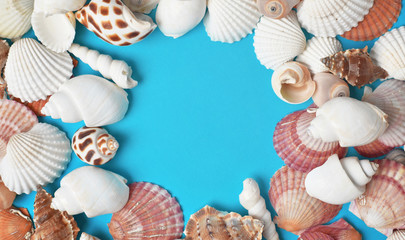 Frame made of seashells with empty space in the middle on bright blue background, summertime concept