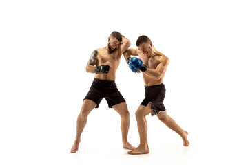 Fototapeta na wymiar Two professional boxers boxing isolated on white studio background