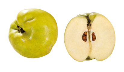 Quitten