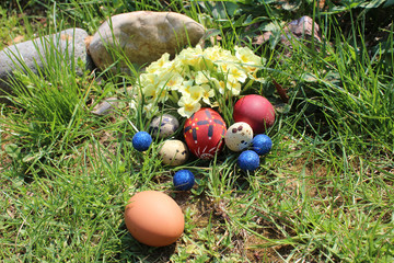 Colorful Easter eggs in grass with primrose and wild herbs
