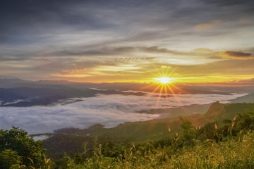 Obraz premium Mountain view morning of the hills around with sea of mist and soft yellow sun light in the sky background, sunrise at Doi Samur Dao, Sri Nan National Park, Nan, Thailand.