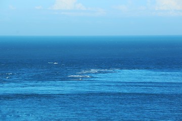 Obraz premium sea and blue sky