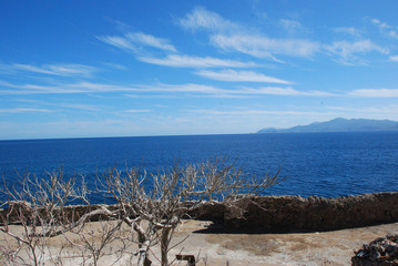 tree, rock, water and sky