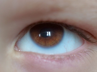Naklejka premium Macro shot of eye, brown, human eye closeup, macro shot, eyelashes, pupil. 10 year old boy child