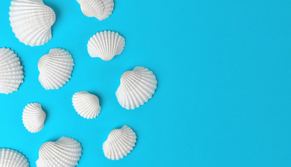 White seashells on bright blue background with empty space