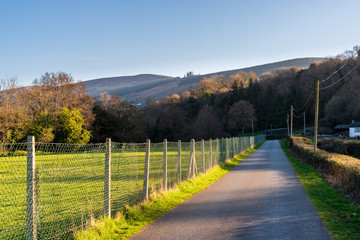 Country road leading towards forest covered mountains. Green Irish countryside scenery in County Dublin, Ireland.