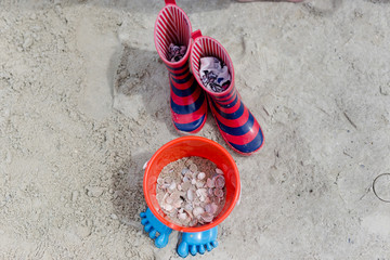 muscheln sammeln © feinfarben 