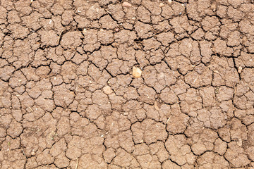 Dry Cracked Texture of Serbian Village Road