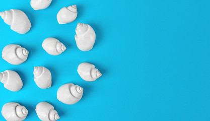 White winkle shells on bright blue background with empty space
