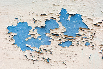 Blue wall with peeling beige plaster