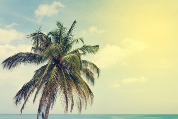Obraz na płótnie Canvas Tropical sea landscape with palm