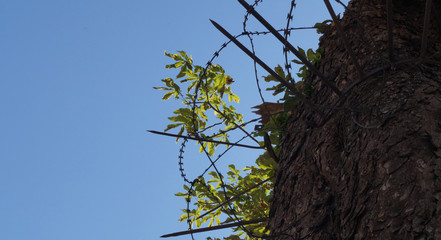 Destroying the planet