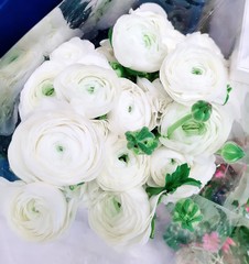 Spring Flowers background