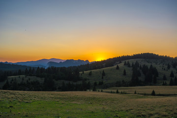 Fototapeta na wymiar Mountain landscape with meadow and forests at sunset in Bucegi National Park, Romania, Eastern Europe. Carpathian wilderness, popular tourist destination.