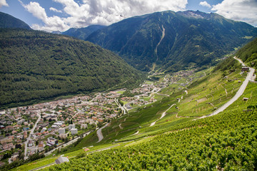 viñedos en Suiza