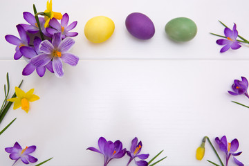 Purple crocuses and Easter Eggs isolated on white wood Background.