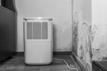 Dehumidifier cleaning the air and reducing moisture in a room with bad toxic mold infestation on the wall. Purifier for high humidity problems. 