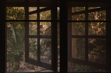 window frame with plants in the background in Koh Tao, Thailand